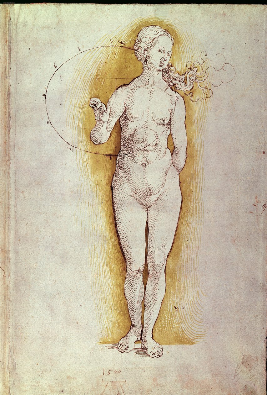 Weiblicher Akt (Feder und Tinte auf Papier) von Albrecht Dürer