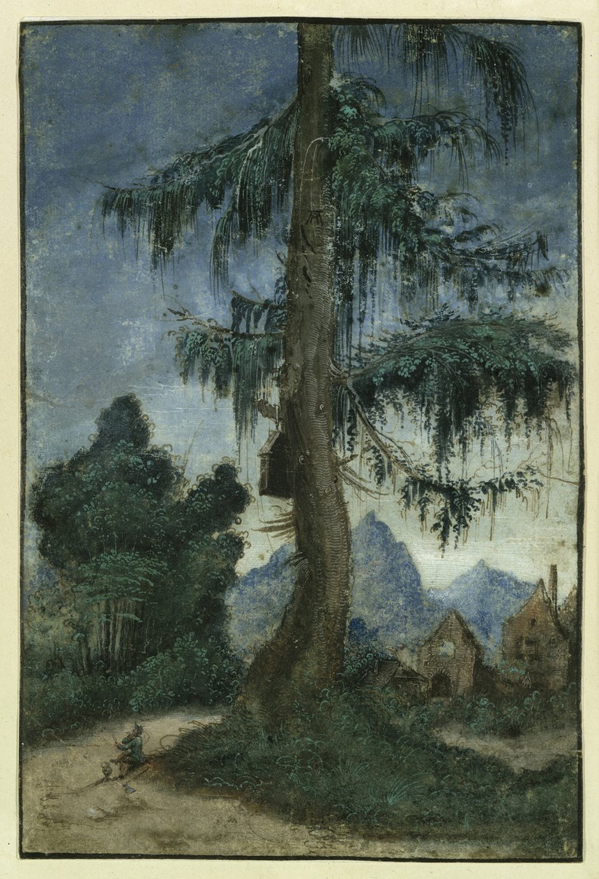 Landschaft mit einer Fichte, ca. 1522 von Albrecht Altdorfer