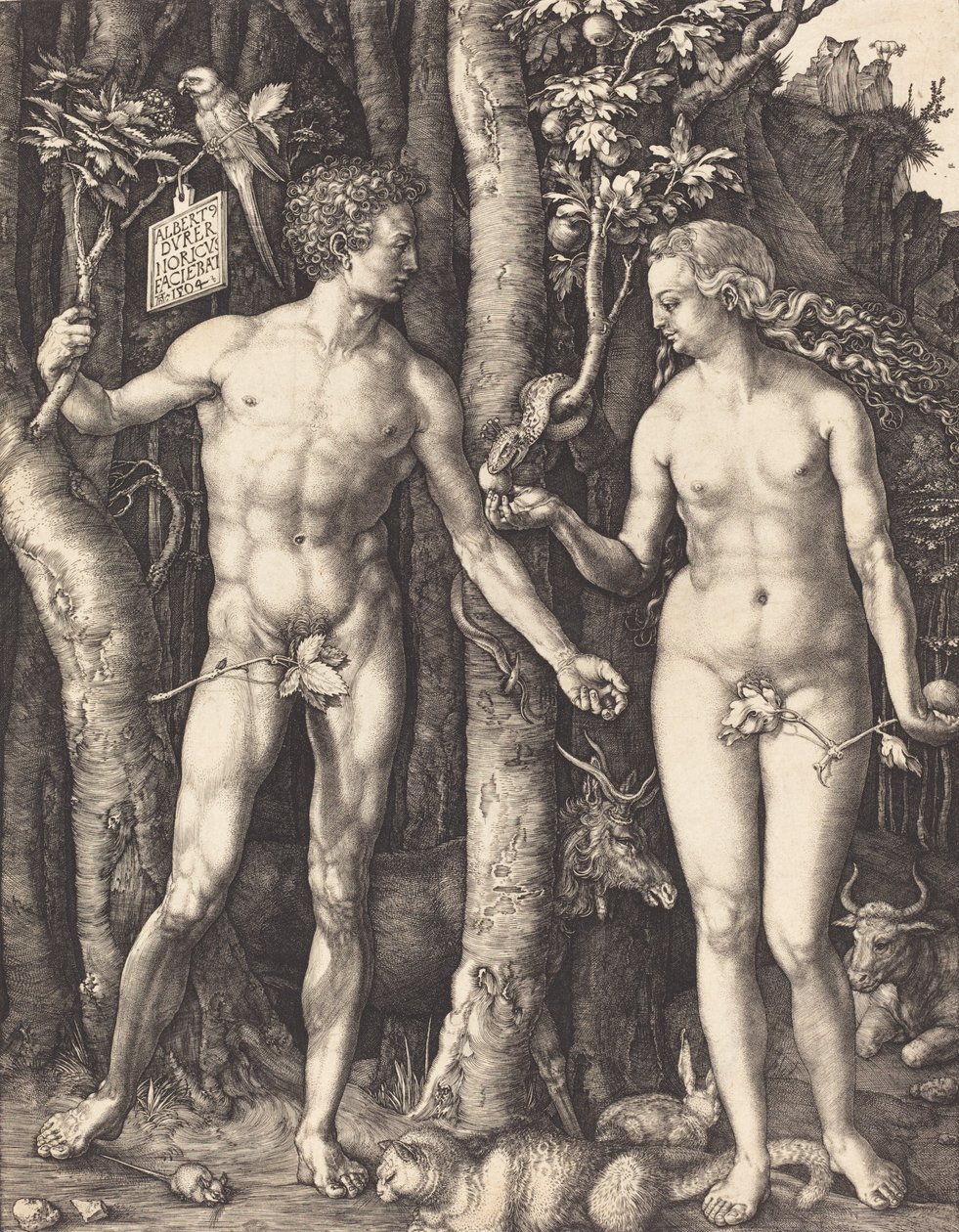 Adam und Eva, 1504 von Albrecht Dürer