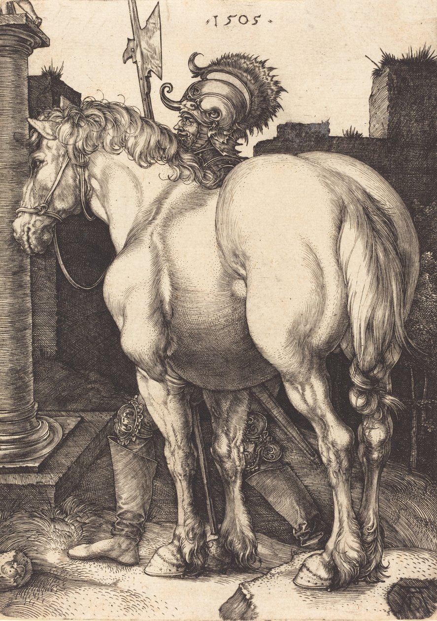 Großes Pferd, 1505 von Albrecht Dürer