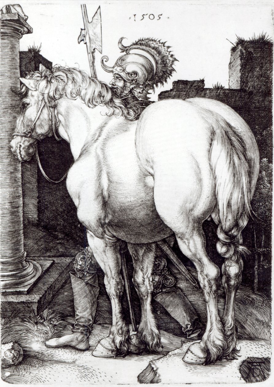 Das große Pferd, 1509 von Albrecht Dürer