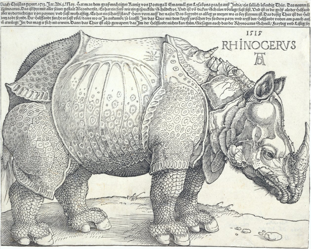 Das Nashorn, 1515 von Albrecht Dürer