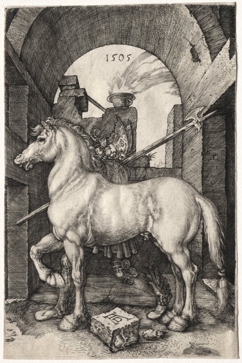 Das kleine Pferd, 1505 von Albrecht Dürer