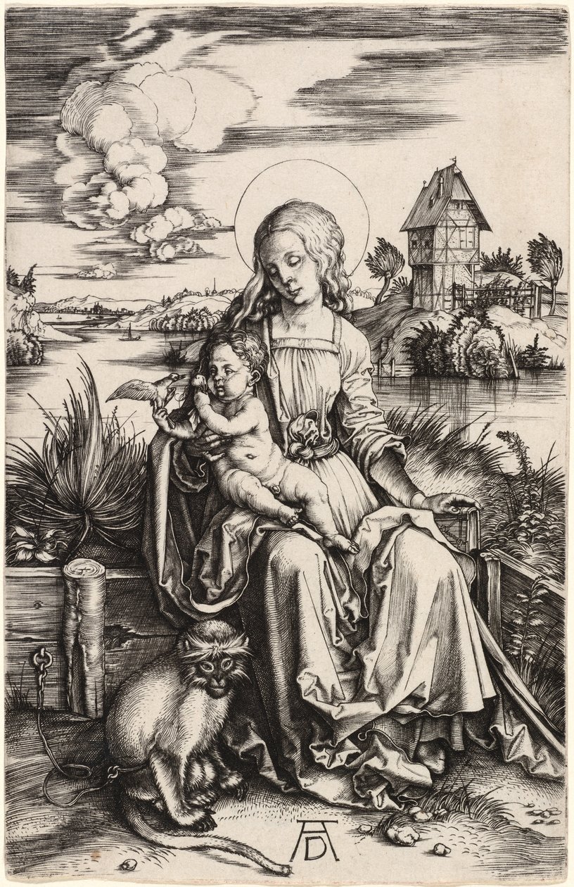 Die Jungfrau und das Kind mit dem Affen von Albrecht Dürer