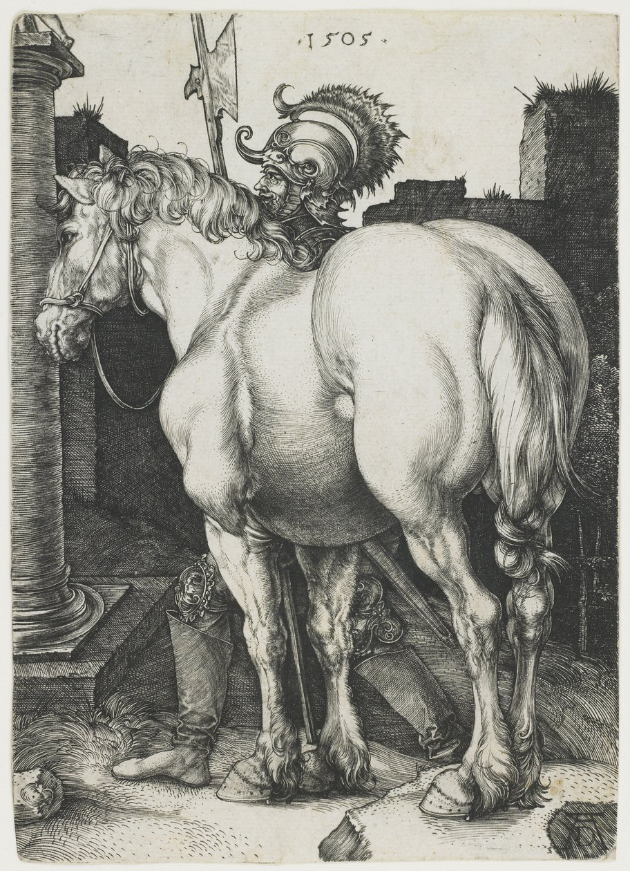 Das große Pferd von Albrecht Dürer