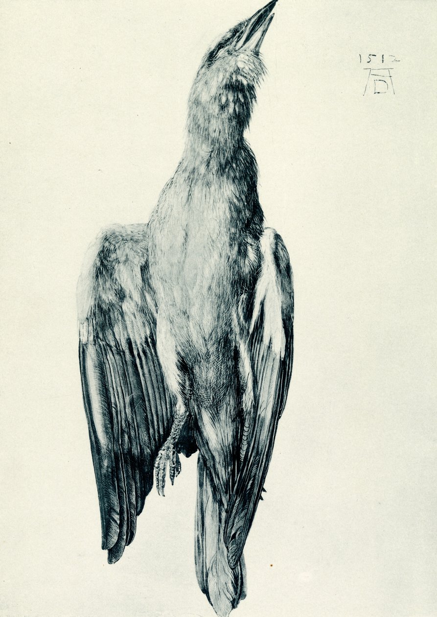 Der tote Blauracke von Albrecht Dürer
