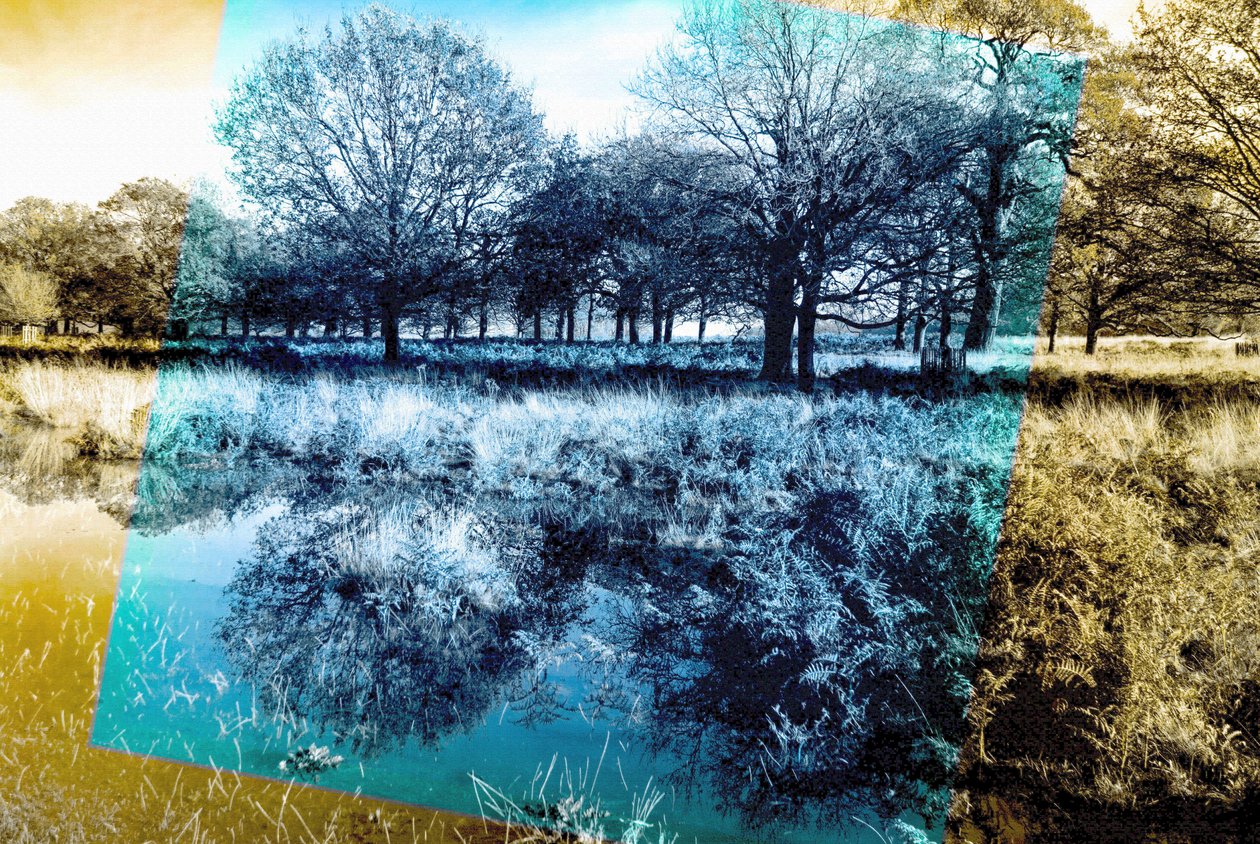Blauer Ton, 2019 von Alex Caminker