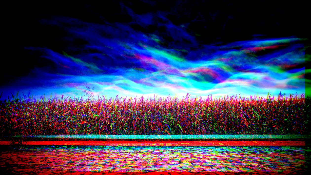 Blauer Bildschirm, 2019 von Alex Caminker
