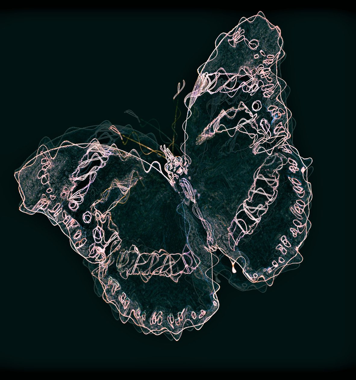 Schmetterling II, 2020 von Alex Caminker