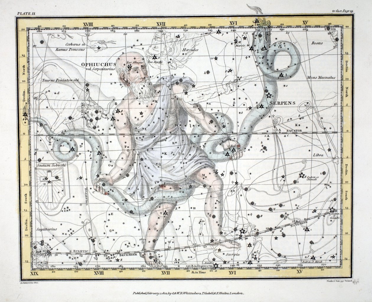 Die Sternbilder (Platte IX) Ophiuchus oder Serpentarius und Serpens, aus 