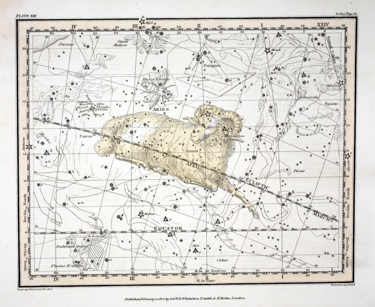 Die Sternbilder (Tafel XIII) Widder und Musca Borealis, aus 
