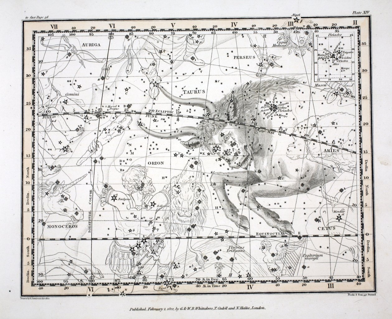 Die Konstellationen (Tafel XIV) Stier, aus 