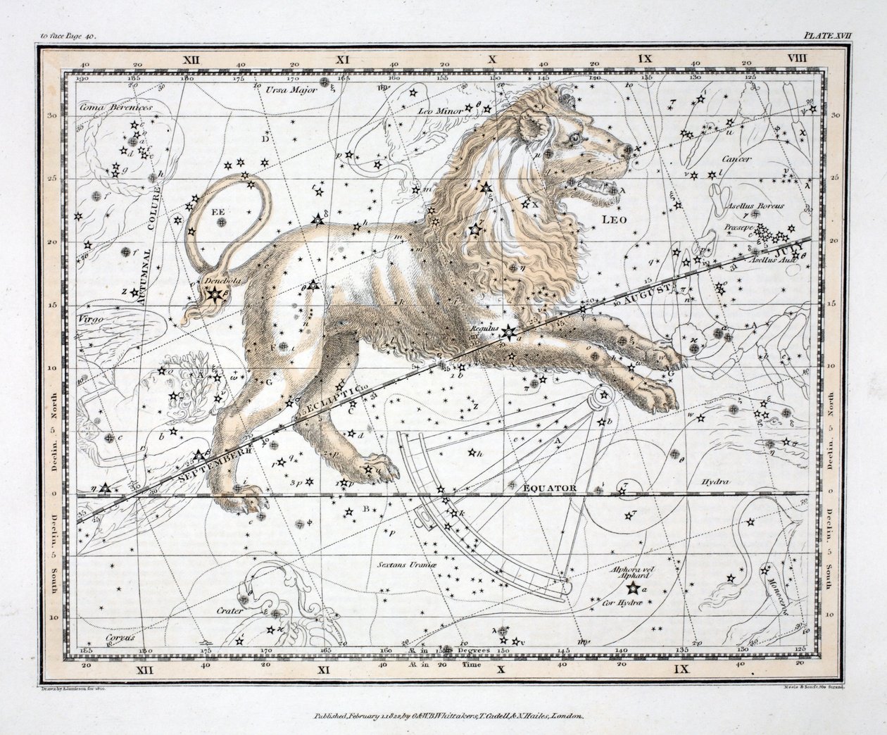 Die Sternbilder (Tafel XVII) Leo, aus 