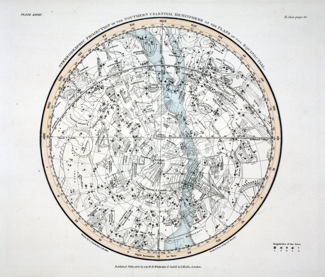 Die südliche Hemisphäre (Tafel XXVIII) Phoenix, Piscis Volans, Pavo et Indus, Apus Indica, Grus, Circinus, Dorado vel Xiphias, Das Chamäleon, Crux, Mons Mensae, Reticula Rhomboidalis, Octans Hadlienus von Alexander Jamieson