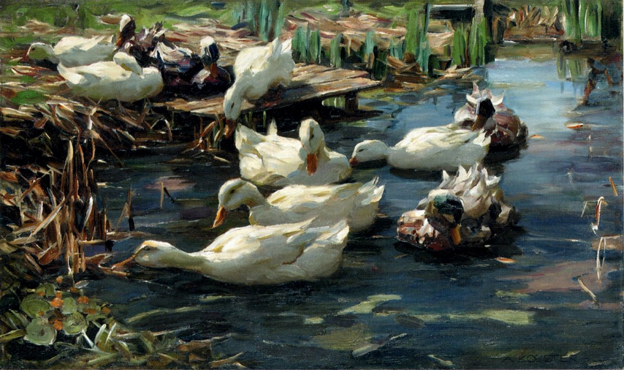 Enten in einem Teich von Alexander Koester