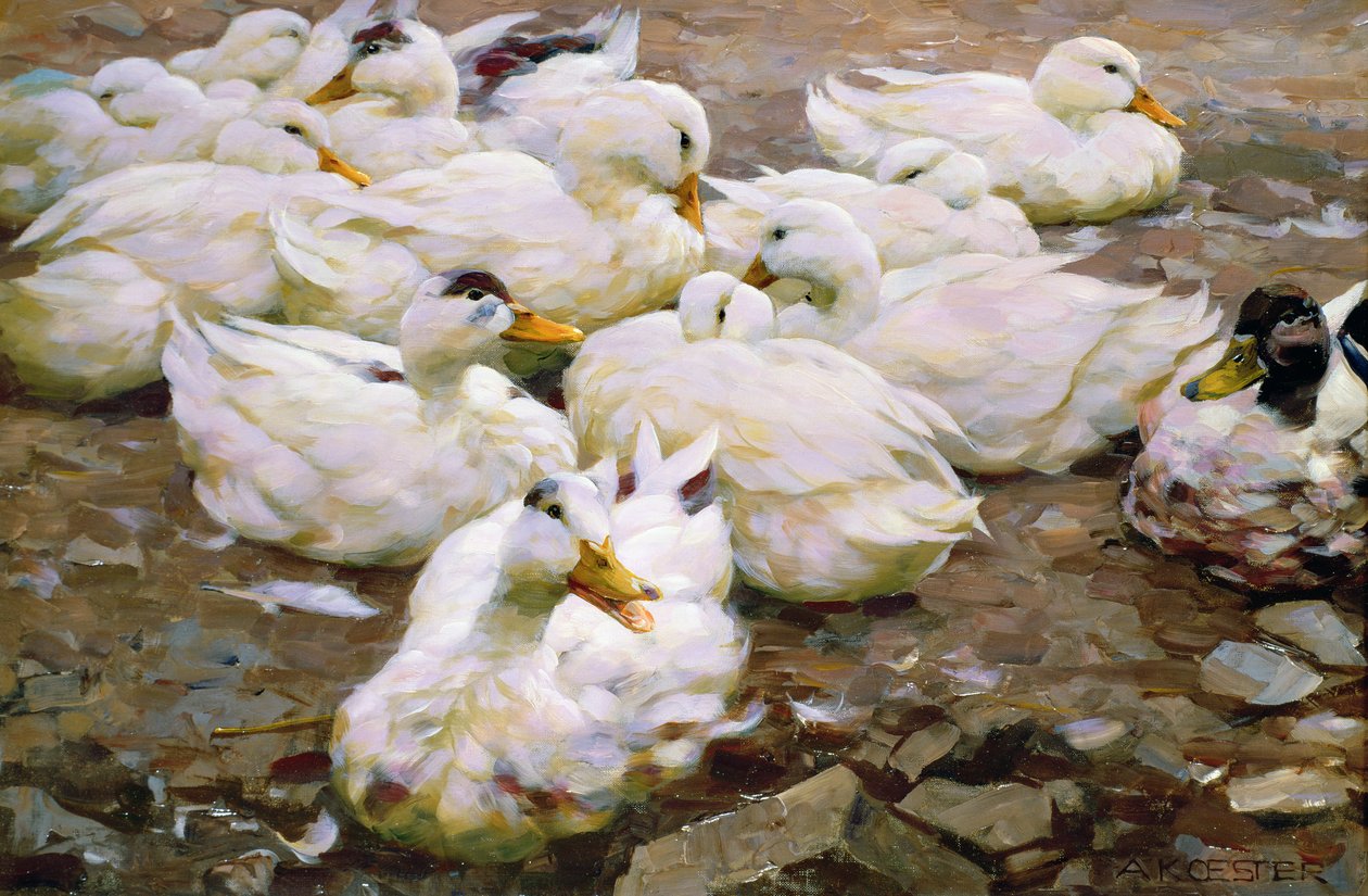 Enten auf einem Teich von Alexander Koester