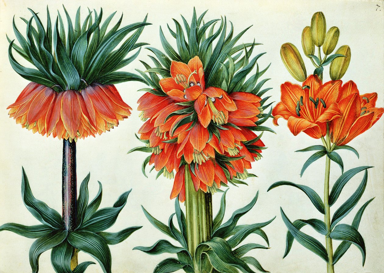 Kaiserkrone von Alexander Marshal