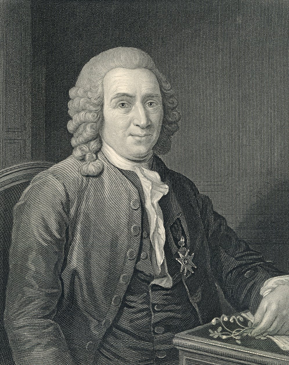 Porträt von Carolus Linnaeus von Alexander (after) Roslin