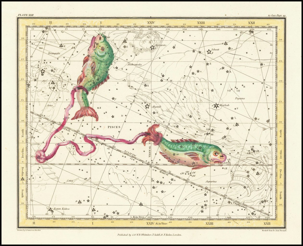 1822 - Alexander Jamieson - Fische von Alexander Jamieson
