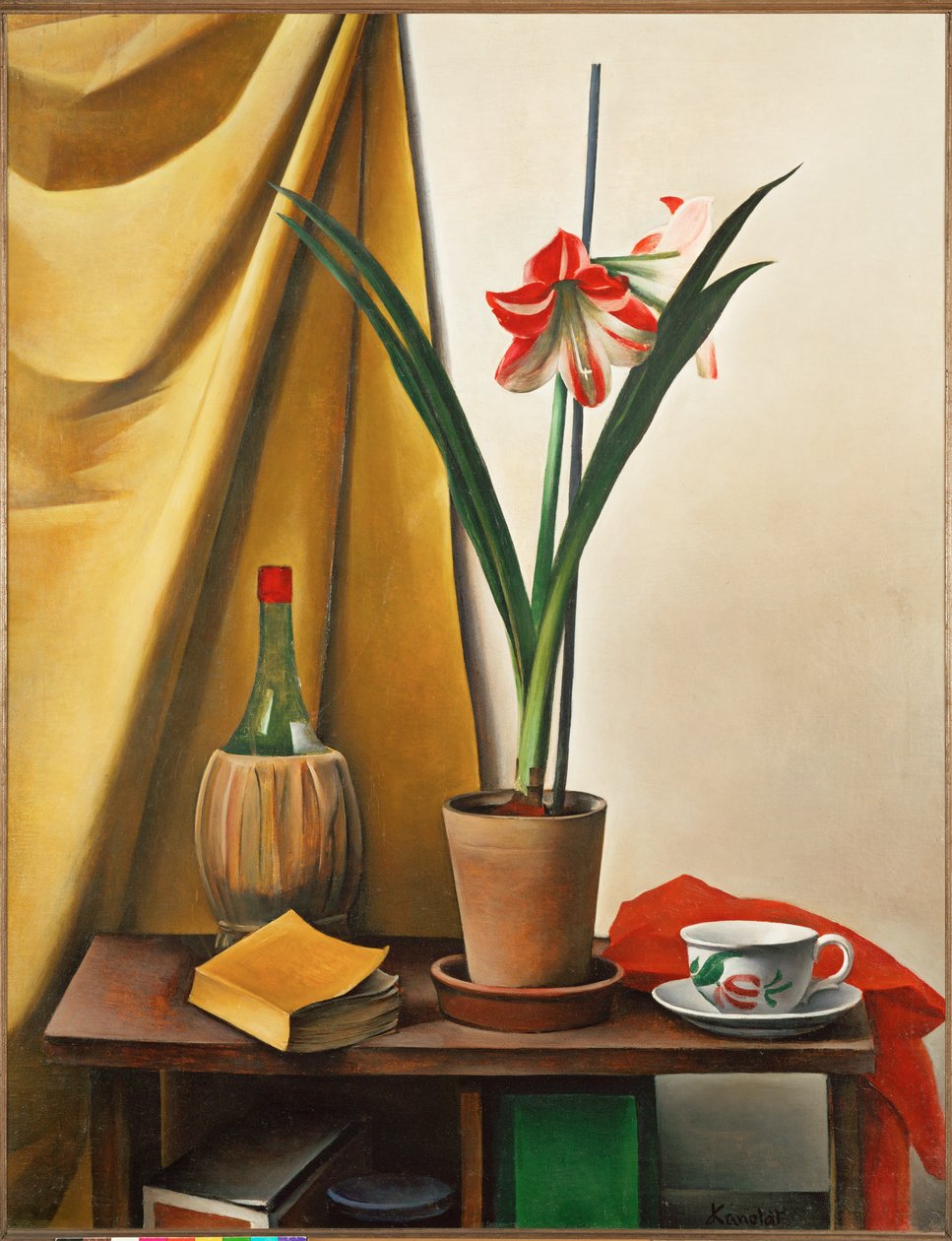 Stillleben III mit Amaryllis von Alexander Kanoldt