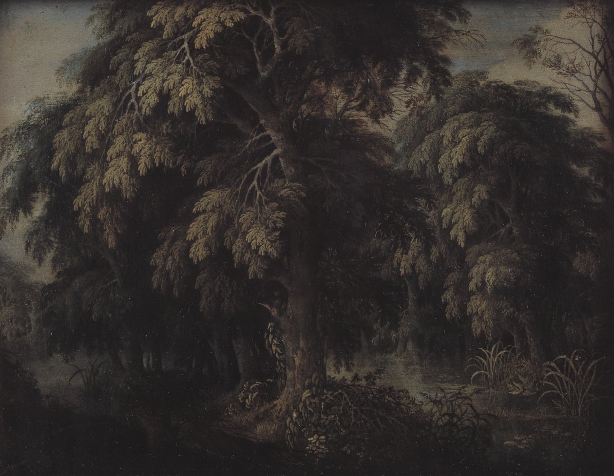 Waldlandschaft von Alexander Keirincx