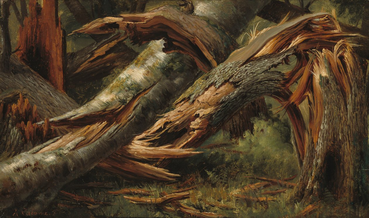Gefallener Baum, 1839-1845 von Alexandre Calame