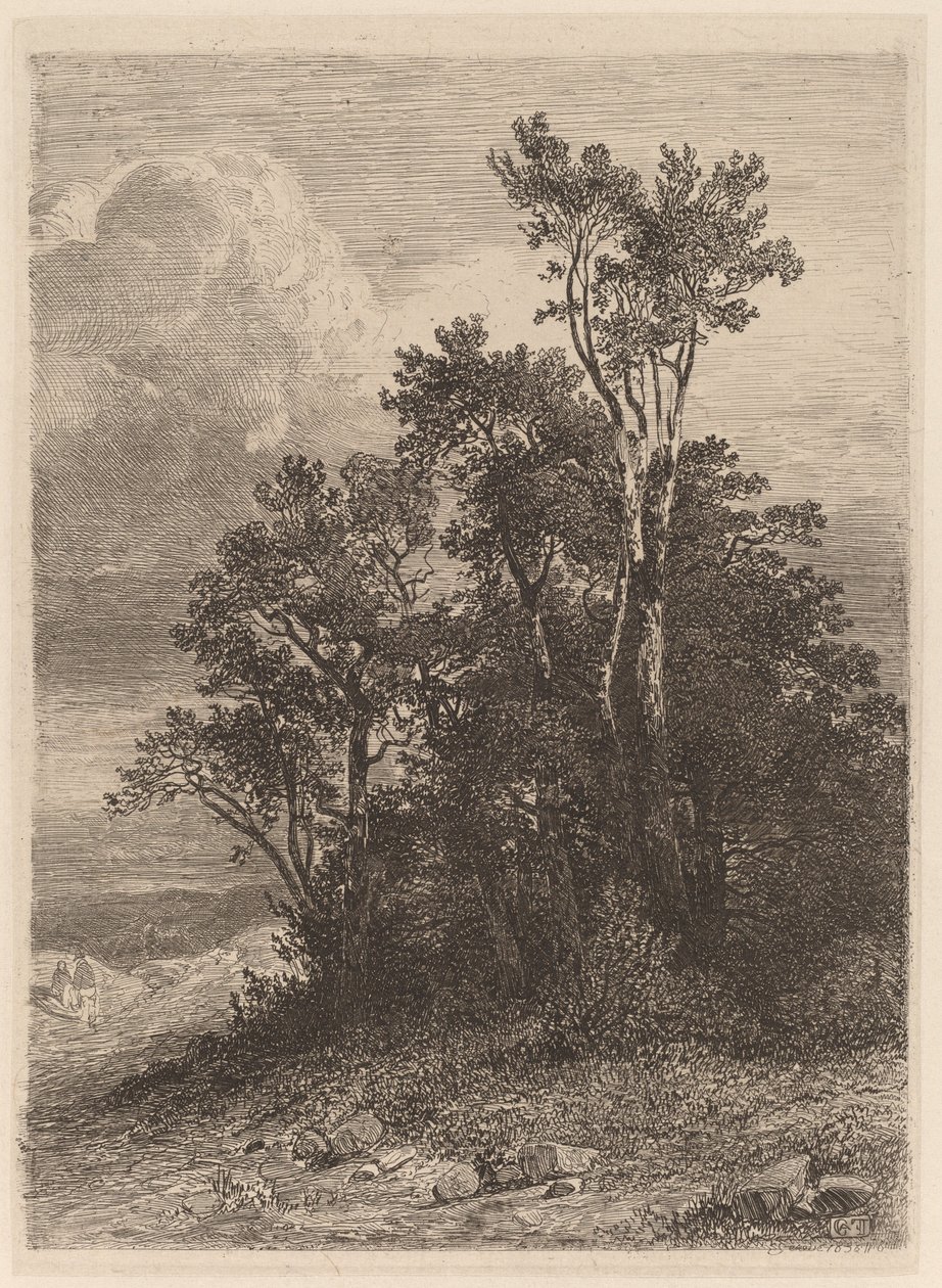 Baumhain von Alexandre Calame