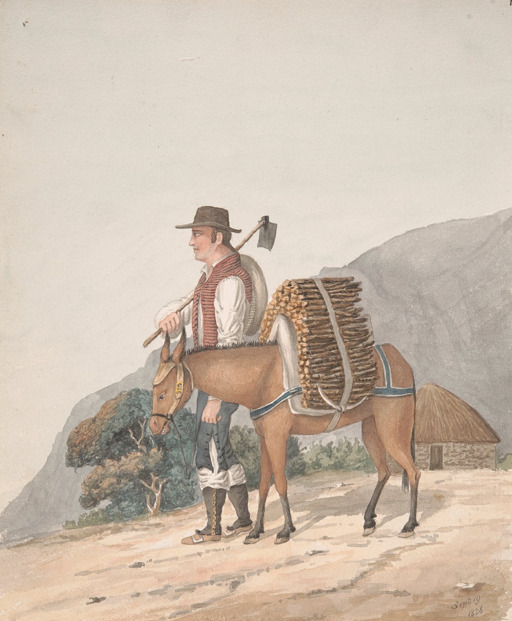 Holzverkäufer, Teneriffa von Alfred Diston