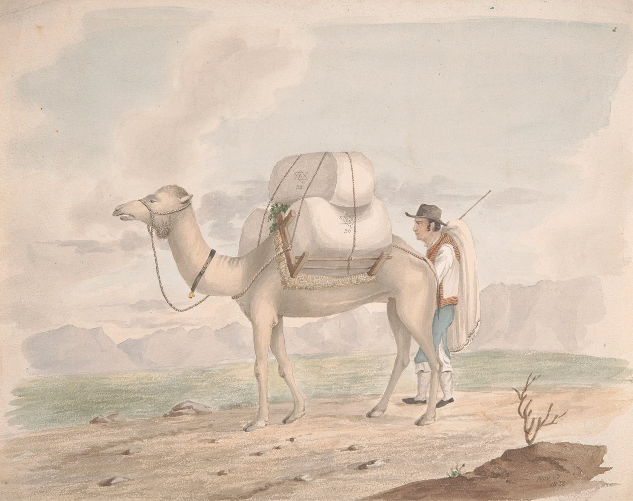 Beladener Kamel von Alfred Diston