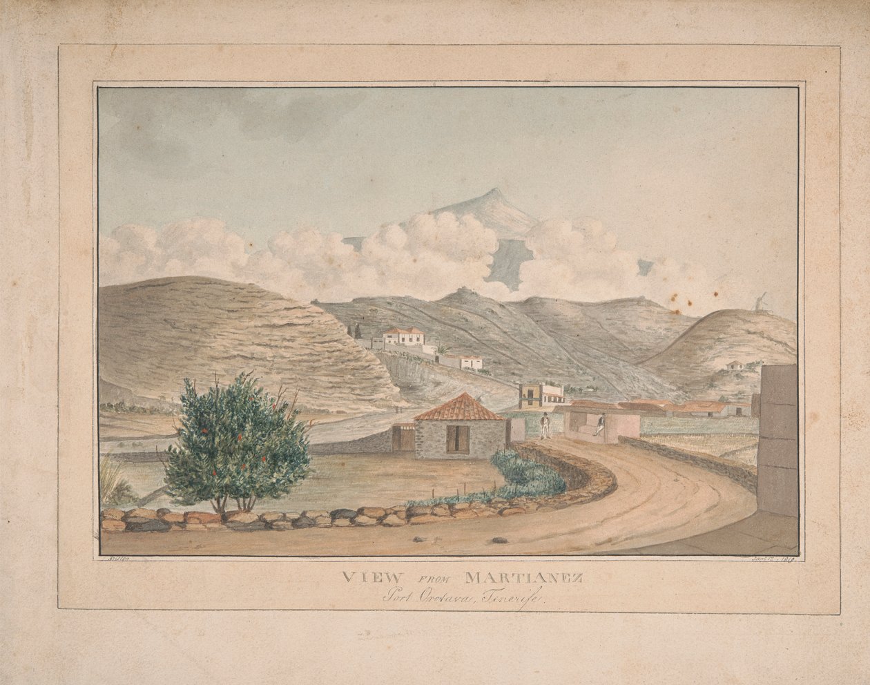 Blick von Martianez, Port Orotava, Teneriffa von Alfred Diston