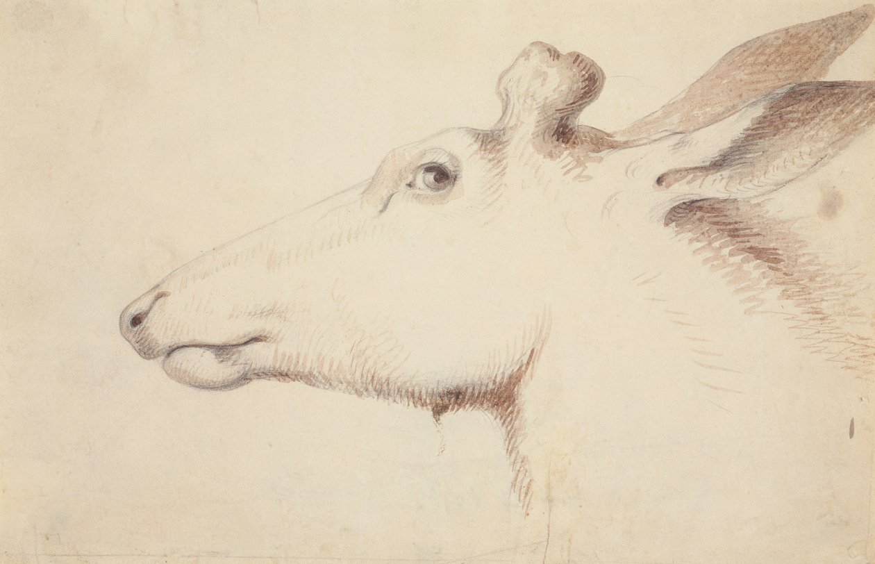 Elch, ca. 1837 von Alfred Jacob Miller