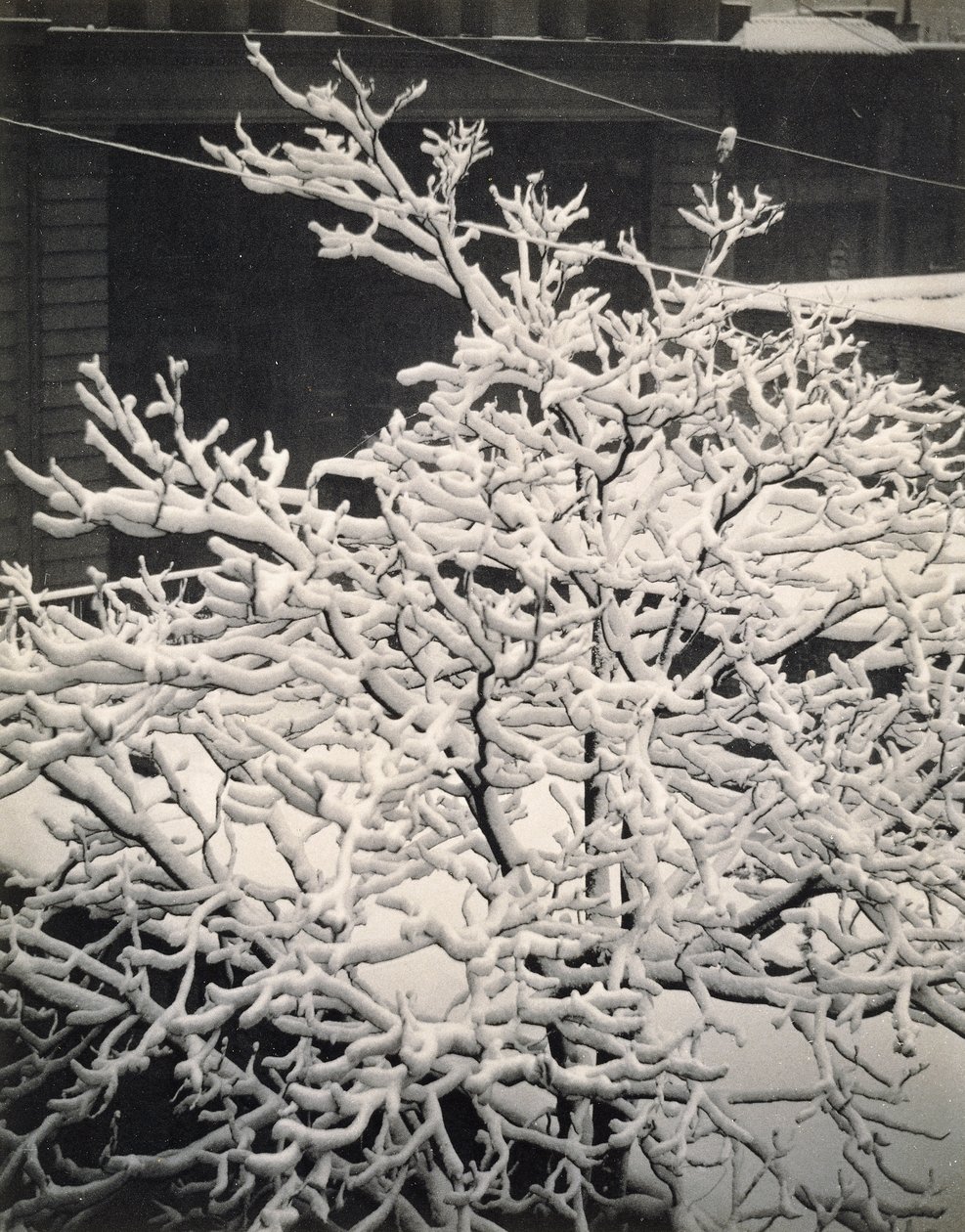 Aus dem Fenster - 291 - N.Y. von Alfred Stieglitz