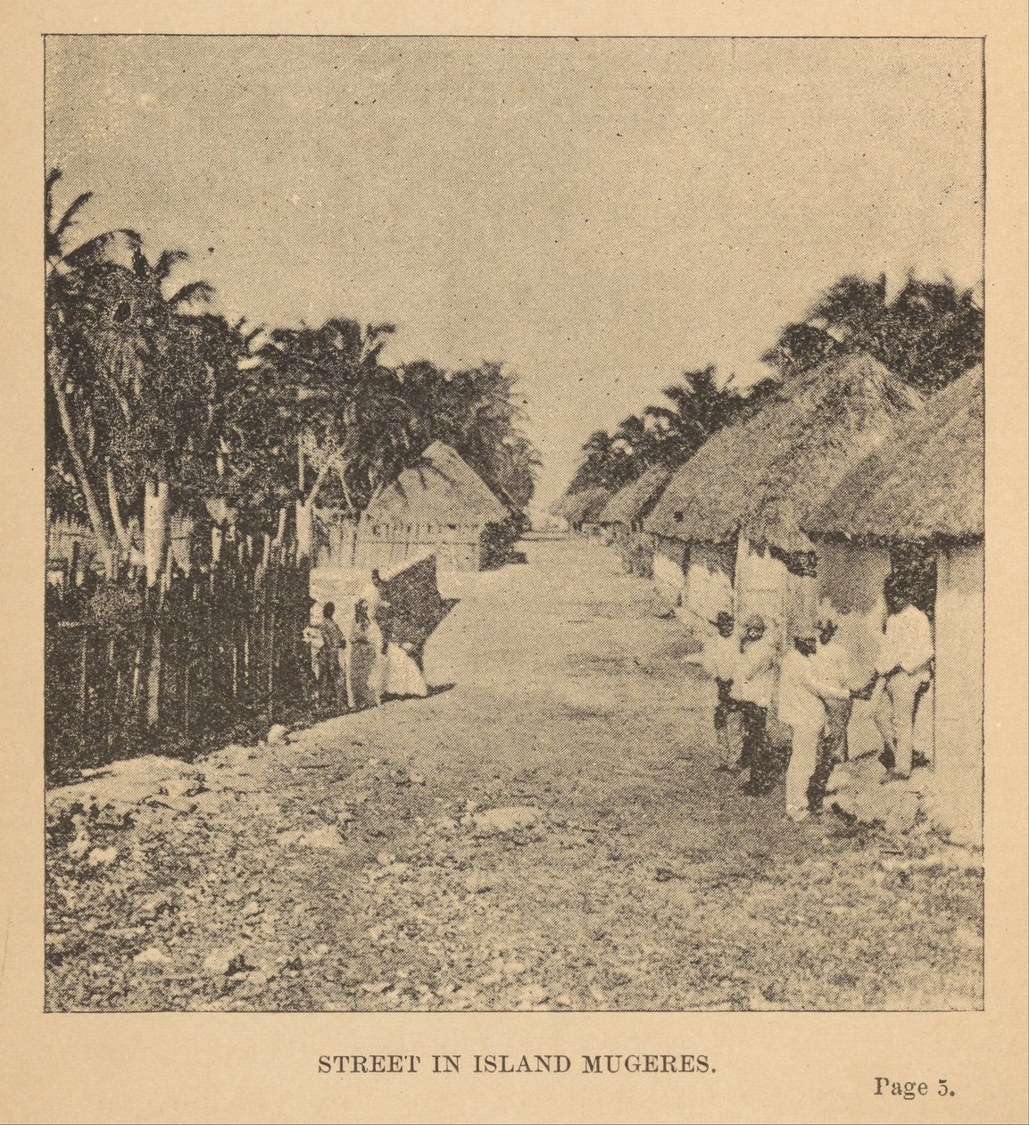 Straße auf der Insel Mugeres von Alice D. Le Plongeon