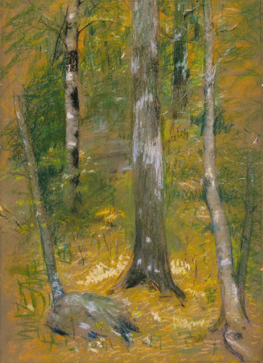 Onteora von Alice Pike Barney