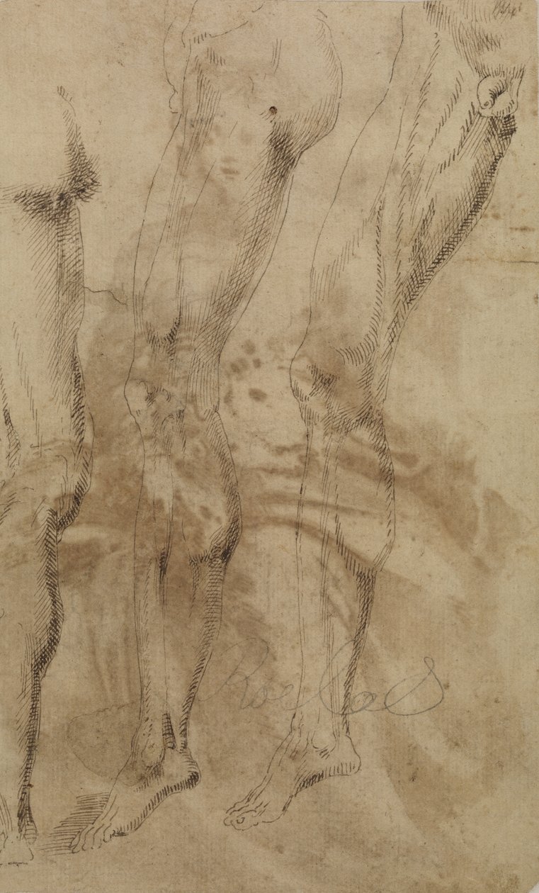 Drei Studien eines männlichen Beins, um 1637 von Alonso Berruguete