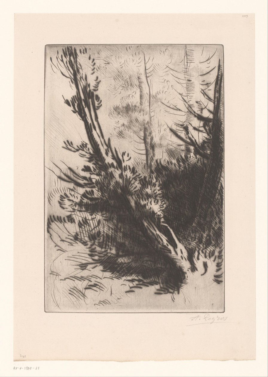 Bäume von Alphonse Legros (signed by artist)