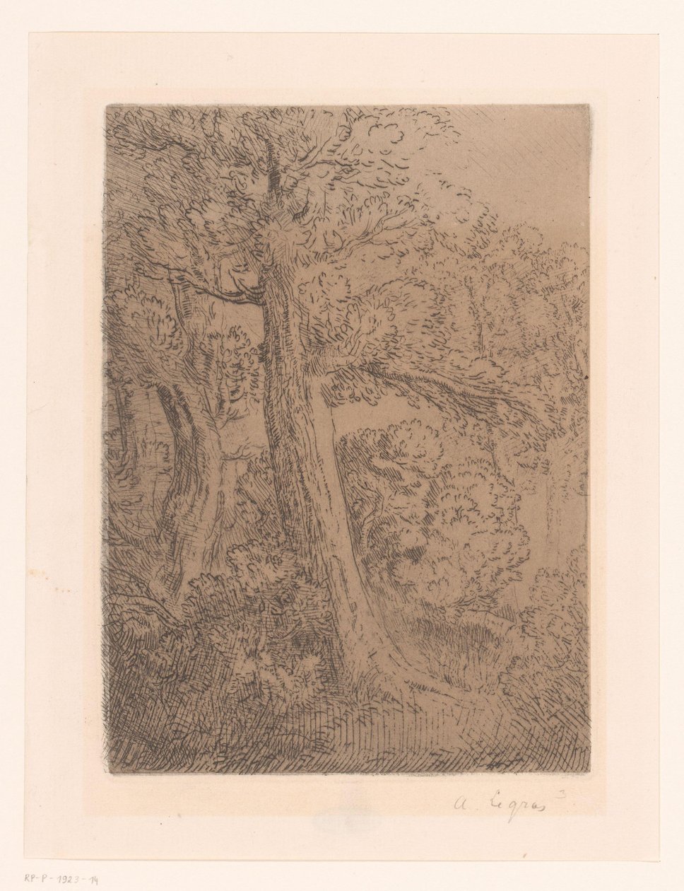 Zwei Bäume von Alphonse Legros (signed by artist)