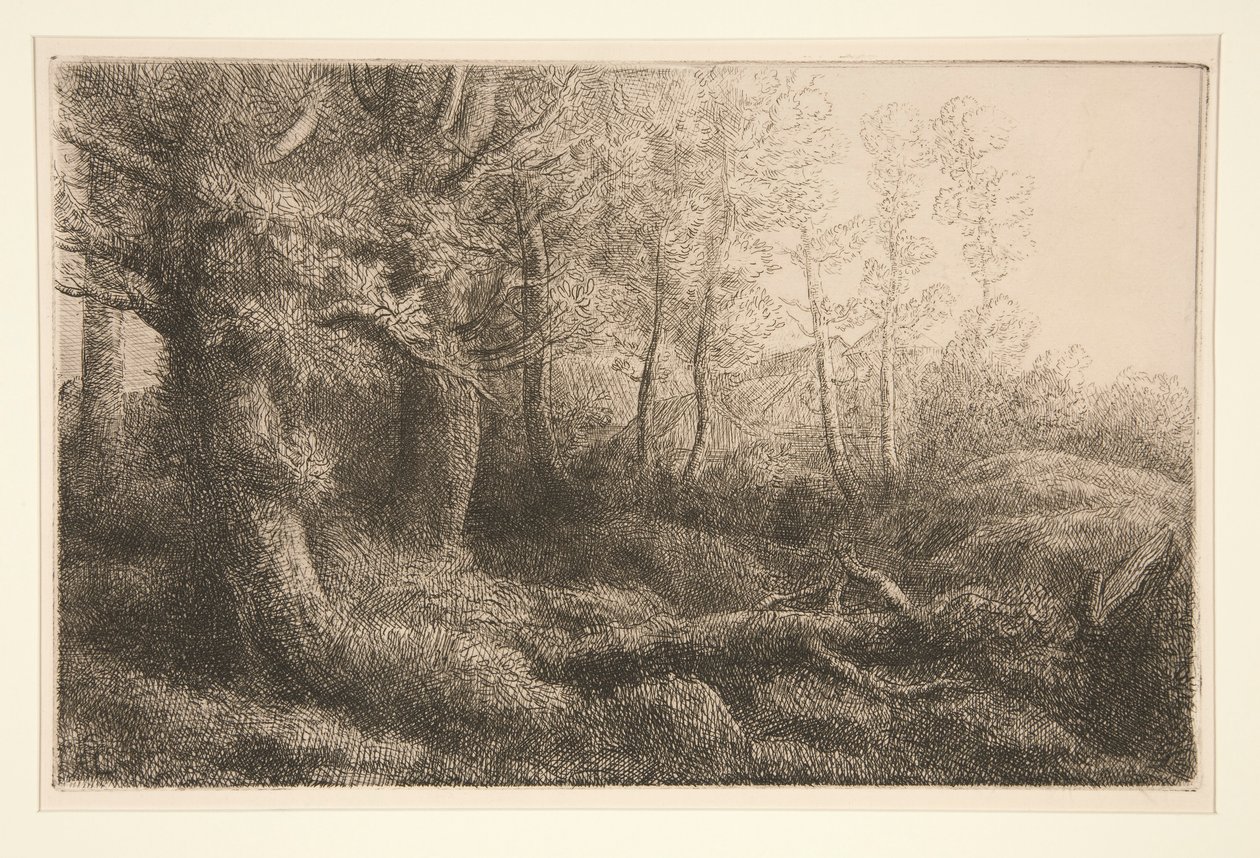 Eine Waldstudie von Alphonse Legros