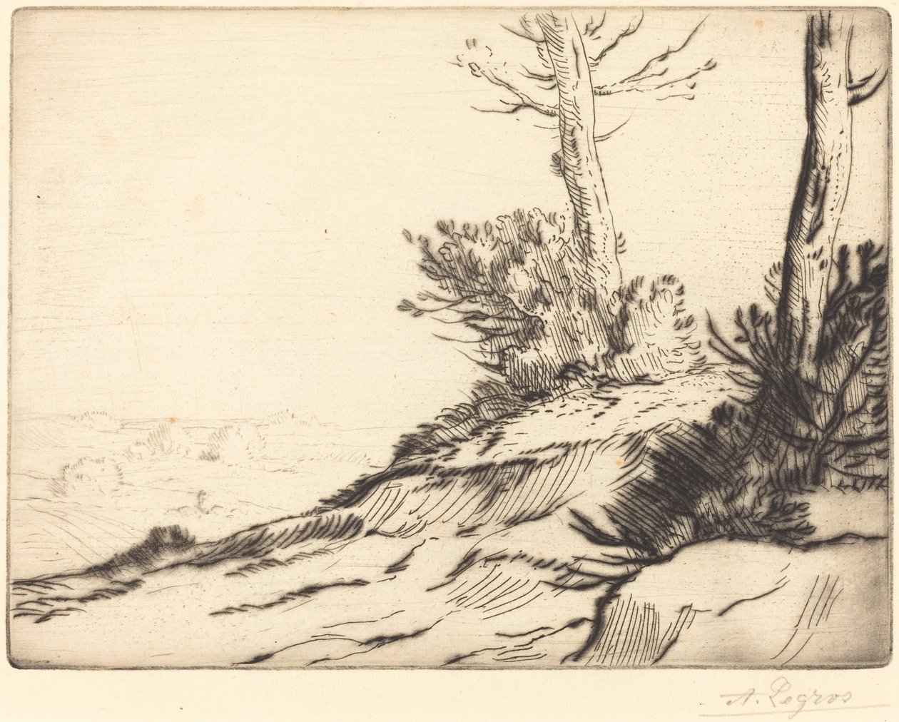 Hügel mit Büschen (La butte aux brousailles) von Alphonse Legros