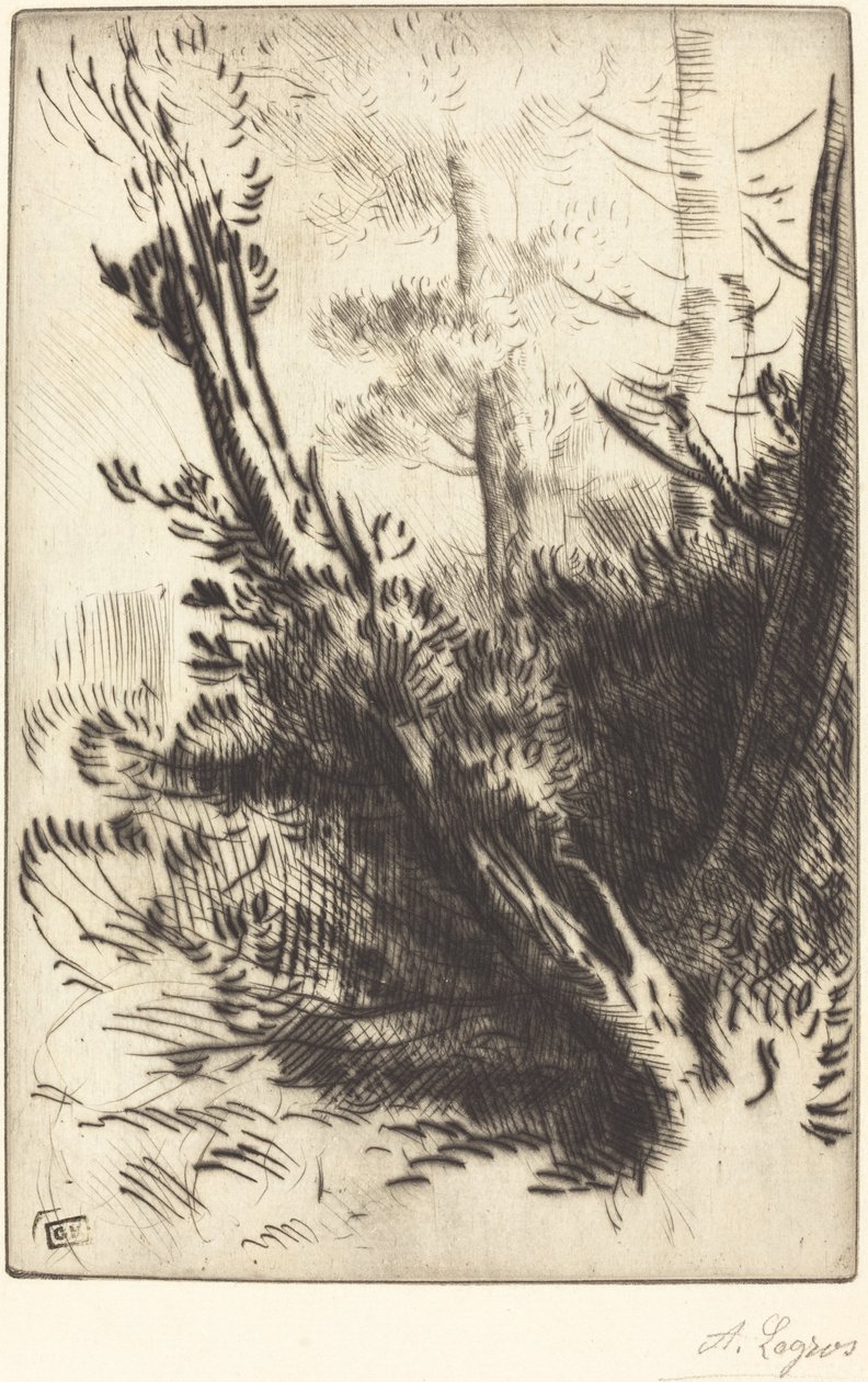 Im Wald von Alphonse Legros