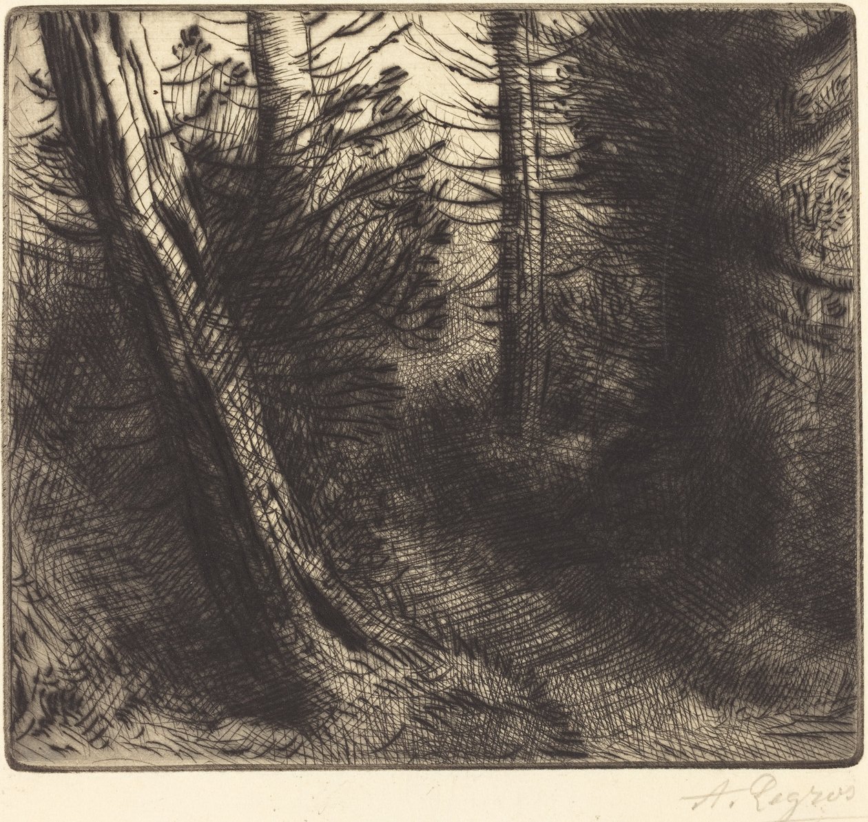 Pfad durch den Wald von Alphonse Legros