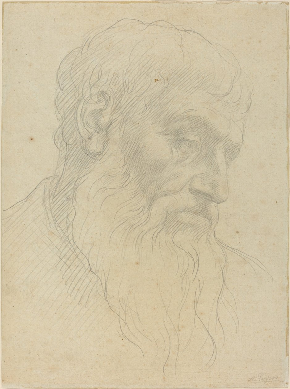 Studie eines Kopfes von Alphonse Legros