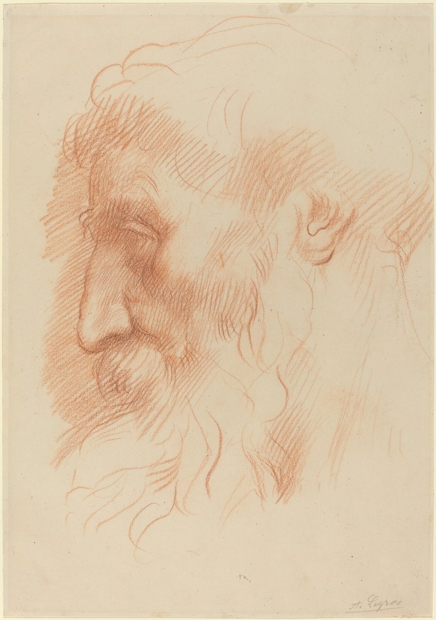 Studie eines Männerkopfes von Alphonse Legros