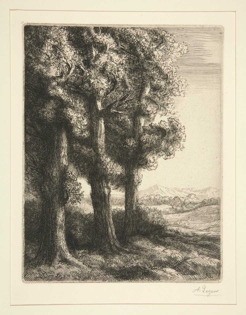 Die drei Bäume von Alphonse Legros