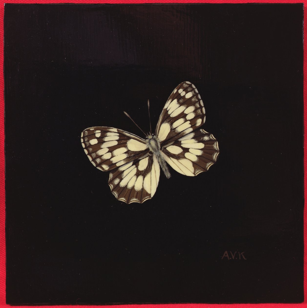 Schachbrettfalter von Amelia Kleiser