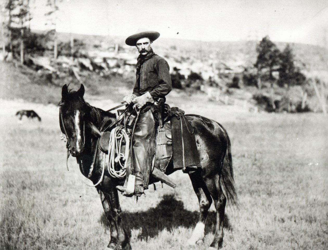 Cowboy reitet ein Pferd in Montana, USA, ca. 1880 von American Photographer