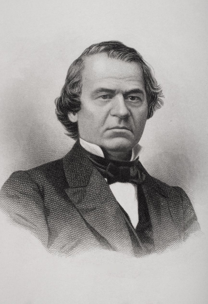 Porträt von Andrew Johnson (1808-75) von American School