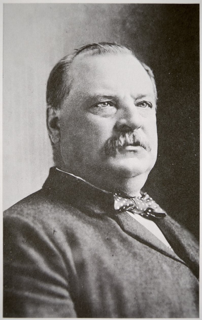 Grover Cleveland von American Photographer