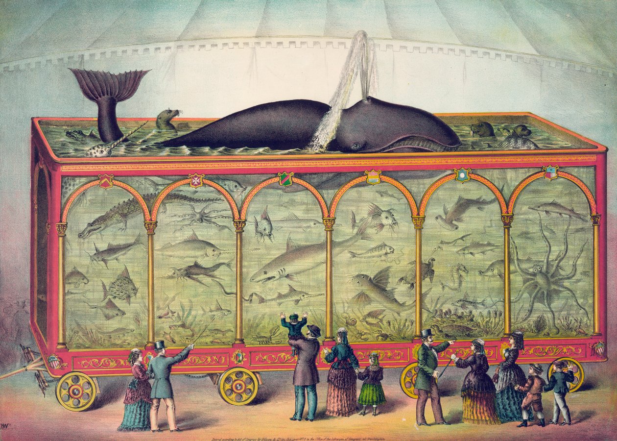 Zirkus-Aquarium des 19. Jahrhunderts von American School