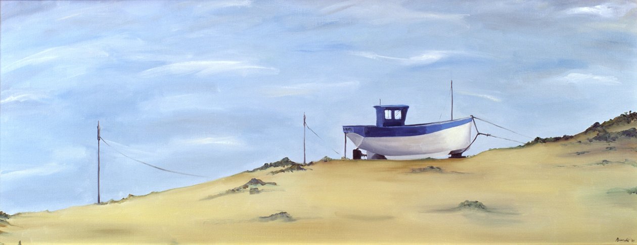 Gestrandet von Ana Bianchi